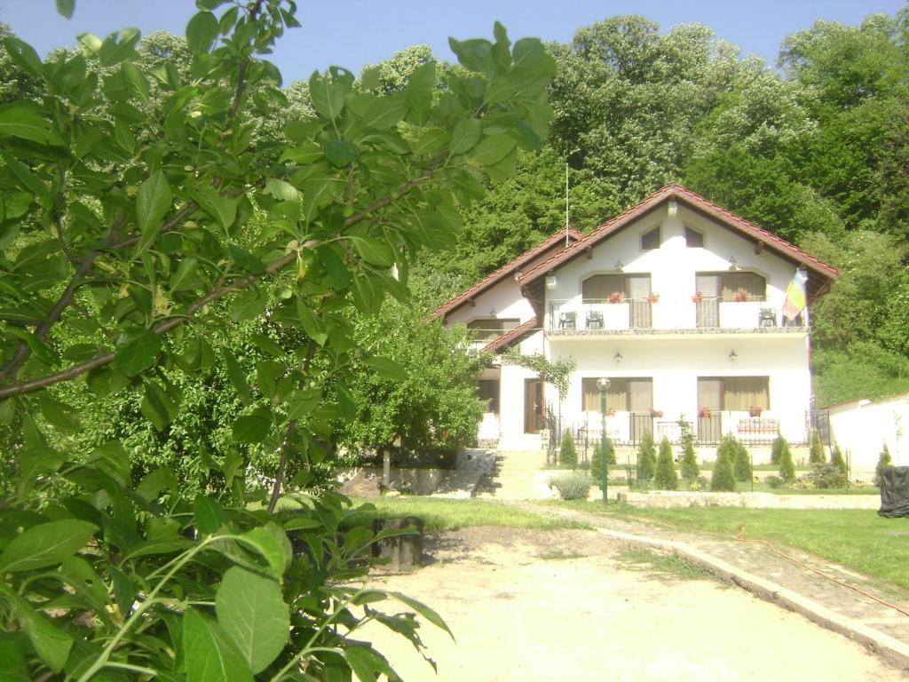 באיילה הרקולנדה Pension Casa Natura מראה חיצוני תמונה