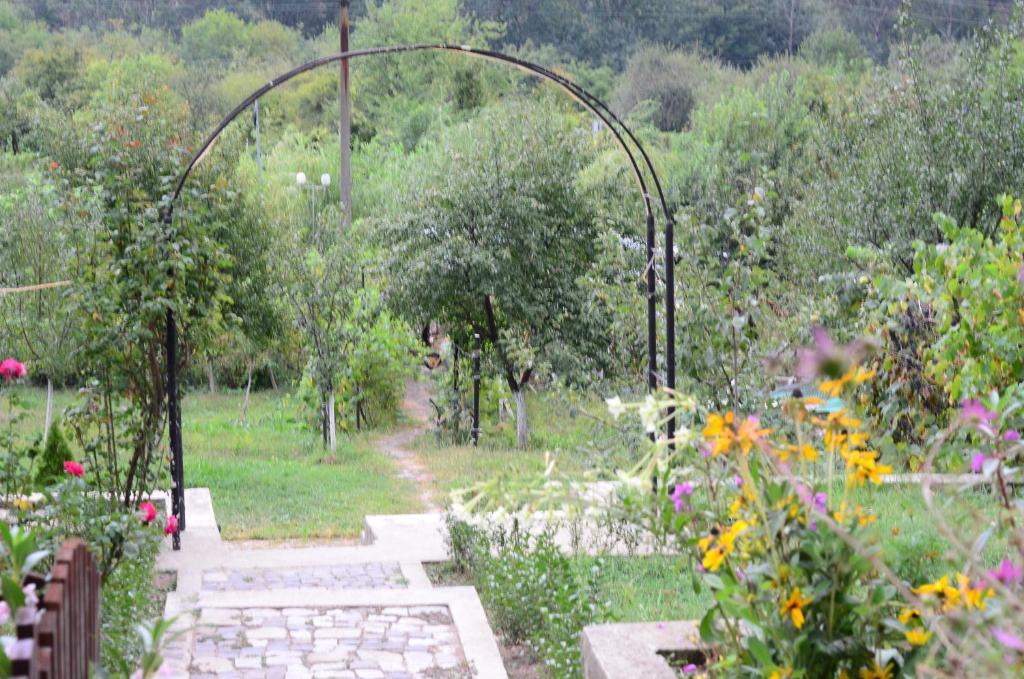 באיילה הרקולנדה Pension Casa Natura מראה חיצוני תמונה