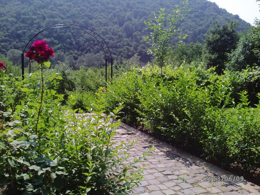 באיילה הרקולנדה Pension Casa Natura מראה חיצוני תמונה