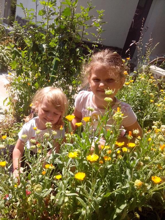 באיילה הרקולנדה Pension Casa Natura מראה חיצוני תמונה