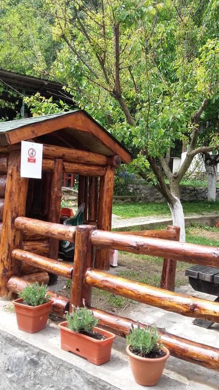 באיילה הרקולנדה Pension Casa Natura מראה חיצוני תמונה