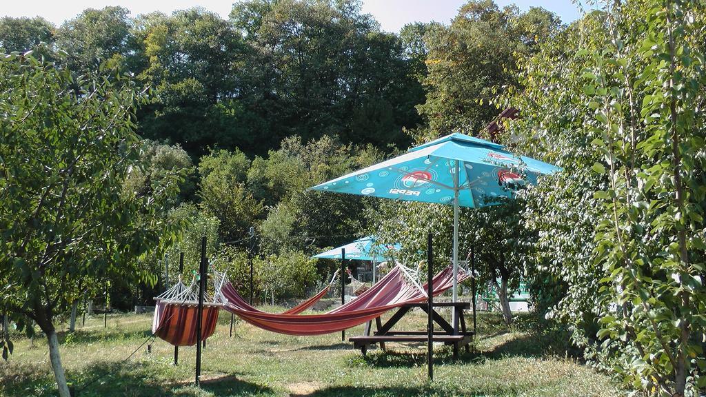 באיילה הרקולנדה Pension Casa Natura מראה חיצוני תמונה